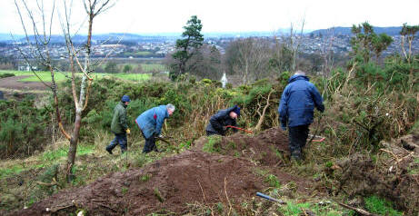Clearing Gorse